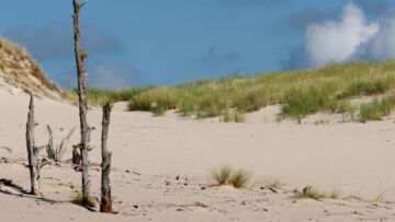 Niepowtarzalna atrakcja turystyczna – wydma Łącka koło Łeby